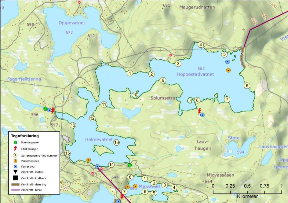 Kart over Hoppestad/Holmevannet