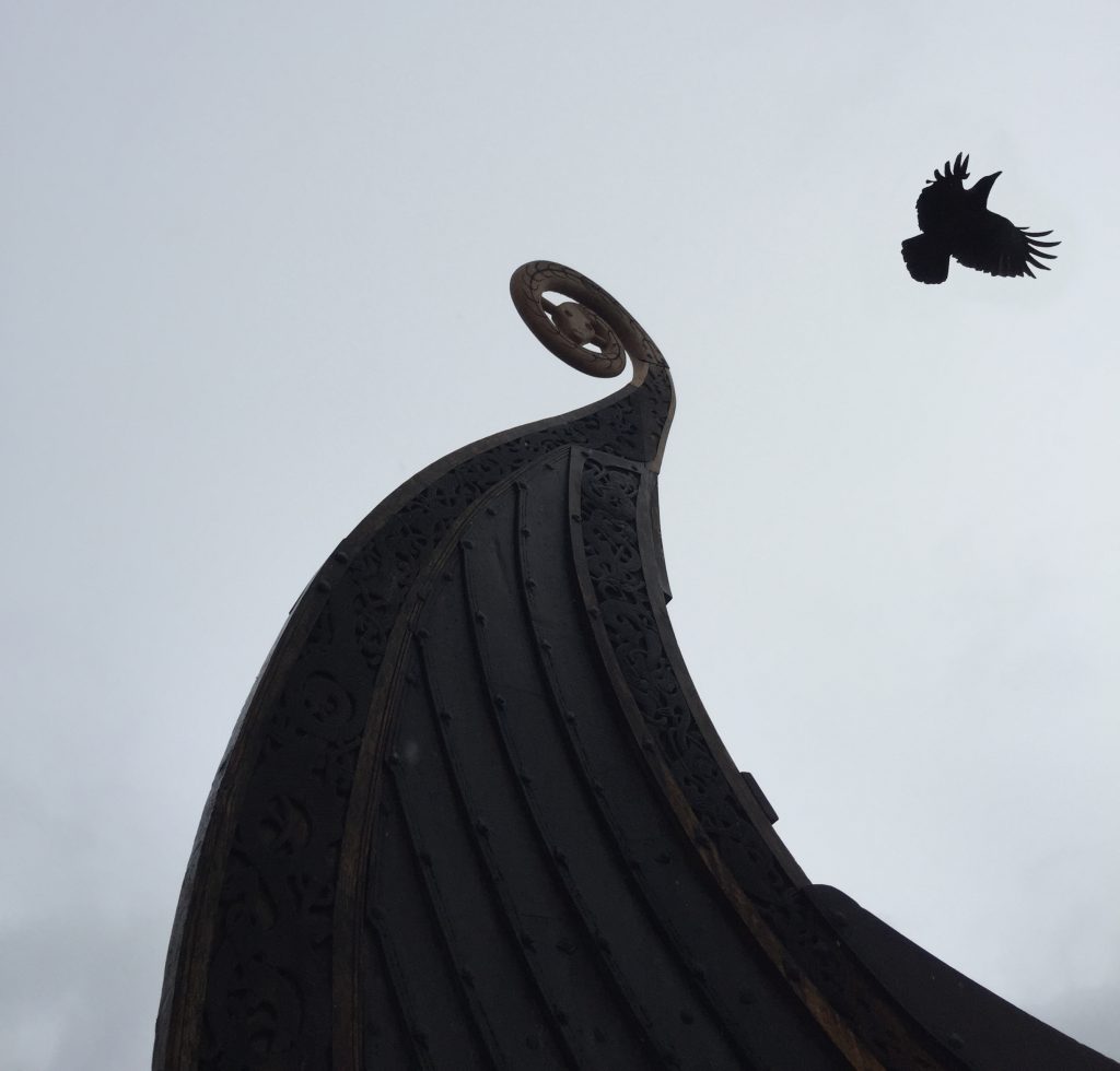 En av Odins ravner, Hugin eller Munin, har nettopp lettet fra Osebergskipets stavn. Foto: Ole Harald Flåten